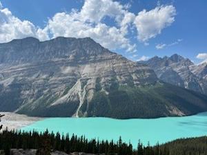 Valerie JULIAN GOULARD