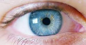 Colette BEYSSAC LESCOUBLET