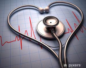 Dr Emeline Pires Celorico, Médecin généraliste à Harfleur