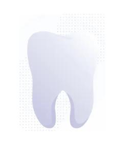 Dr Robert Pala, Chirurgien dentiste à Nice