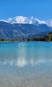 Dr. Adrian MANOLACHE