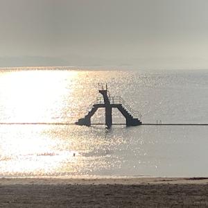 Dr. Madeleine DE MOREL