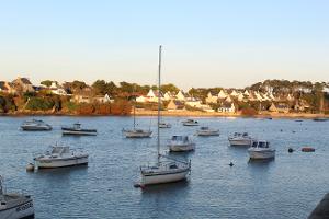 Dr. Christine CADIOU-MEIGNEN